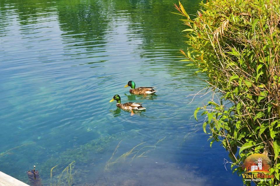 Guesthouse Una 1 Bihać エクステリア 写真